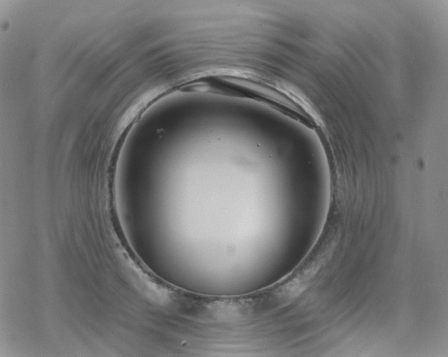 X0000070360898200606091028