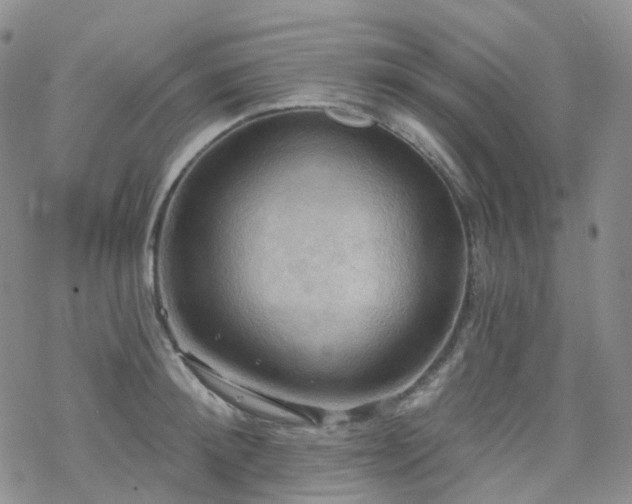 X0000070360900200606091028