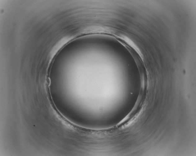 X0000070360901200606091028