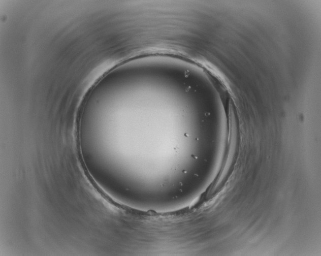 X0000070360902200606091028