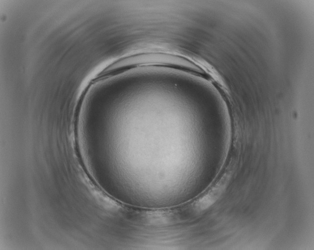 X0000070360904200606091028