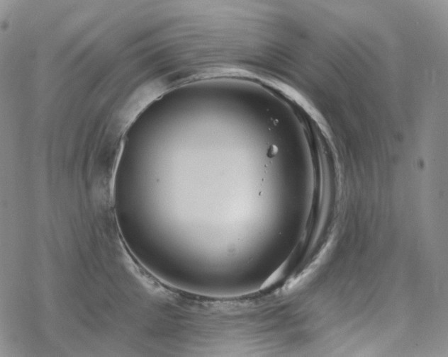 X0000070360905200606091028