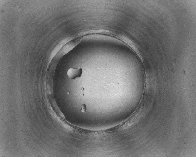 X0000070360906200606091028