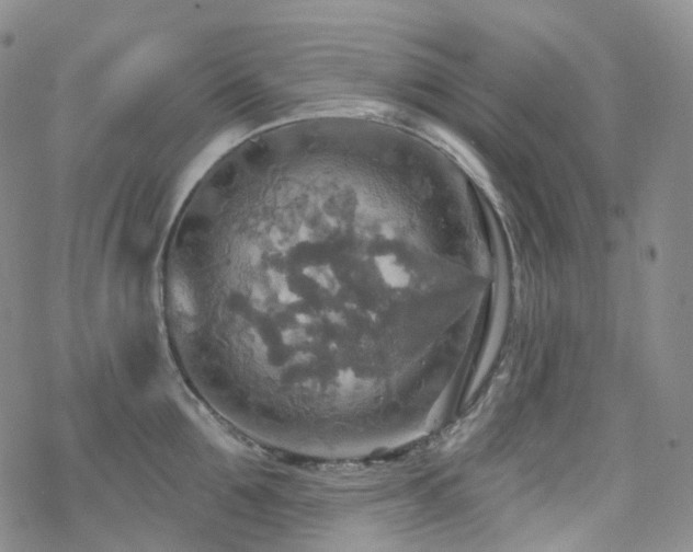 X0000070360907200606091028