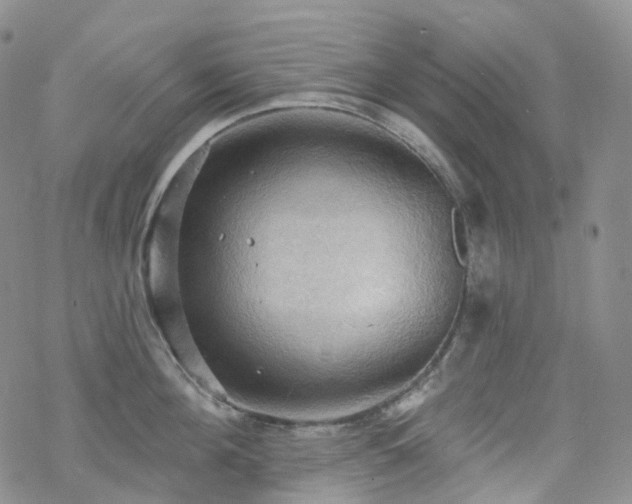 X0000070360908200606091028