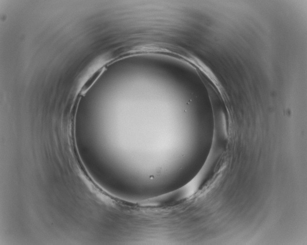 X0000070360909200606091028