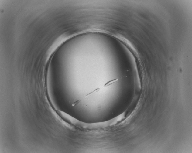 X0000070360910200606091028