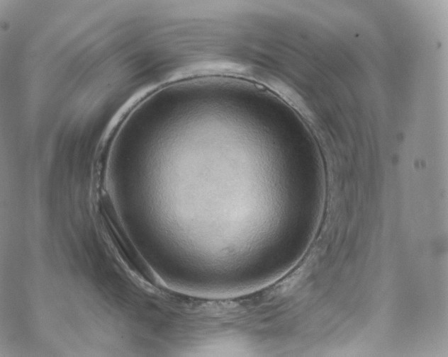 X0000070360912200606091028