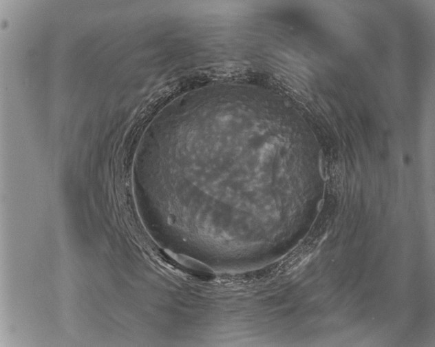 X0000070360913200606091027