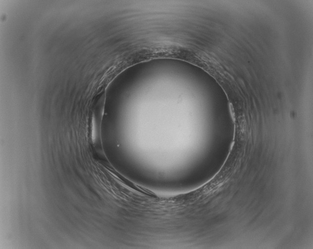 X0000070360916200606091028