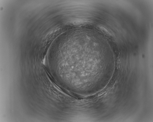 X0000070360917200606091028