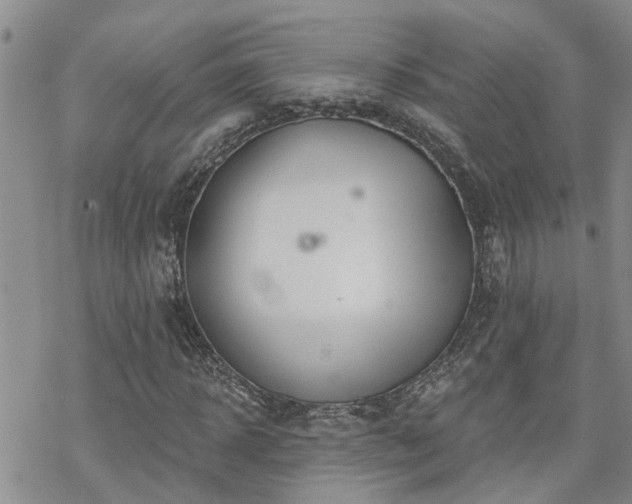 X0000070360918200606091028