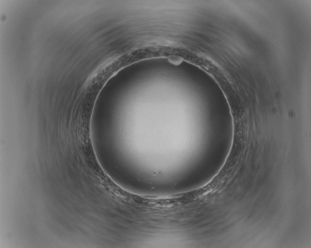 X0000070360919200606091028