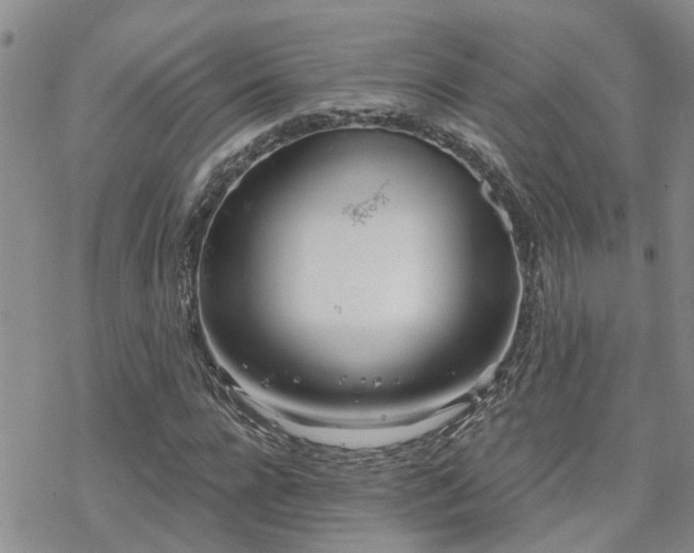 X0000070360920200606091028