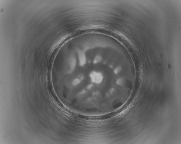 X0000070360921200606091028