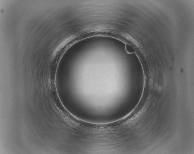 X0000070360922200606091028