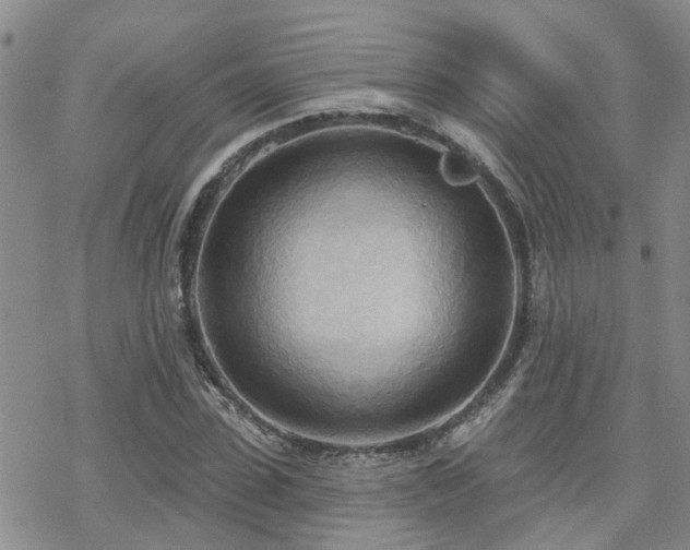 X0000070360923200606091028