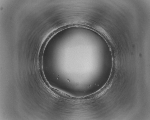 X0000070360924200606091028