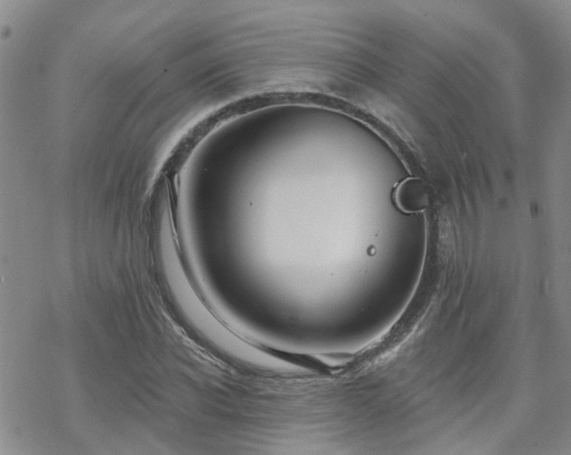 X0000070360926200606091028