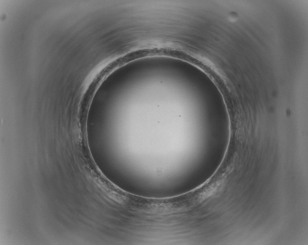 X0000070360927200606091028