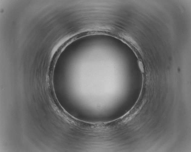 X0000070360928200606091028