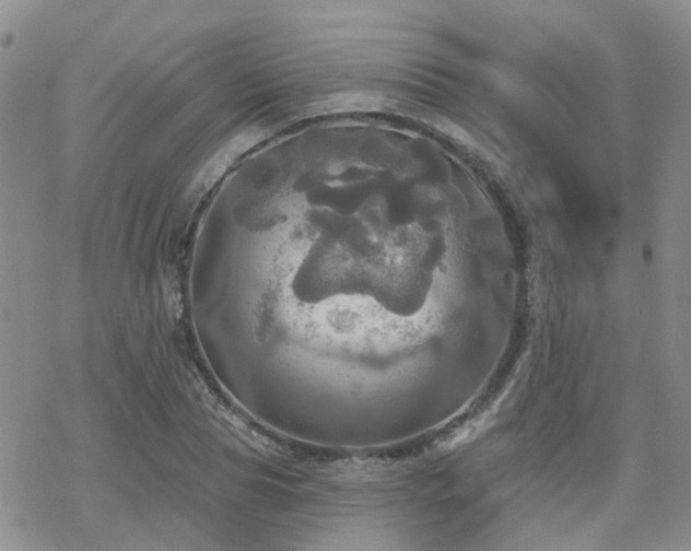 X0000070360929200606091028