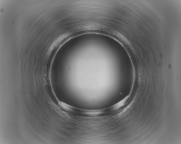 X0000070360930200606091028