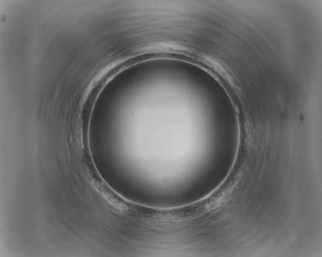 X0000070360931200606091028