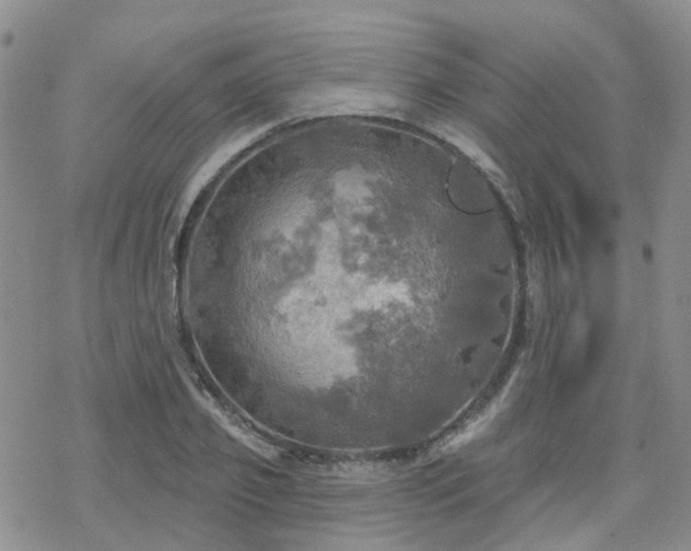 X0000070360933200606091028