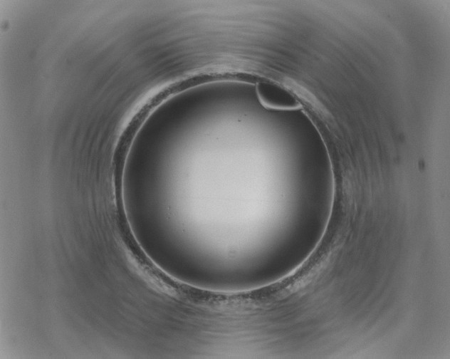 X0000070360934200606091028