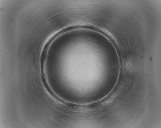 X0000070360935200606091028