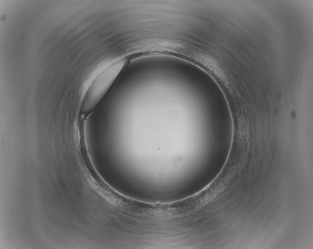 X0000070360936200606091028