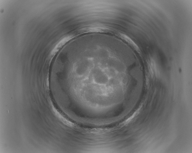 X0000070360938200606091028