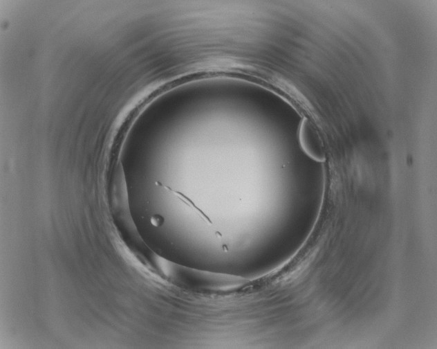 X0000070360939200606091028