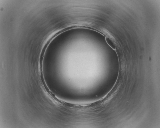 X0000070360940200606091028