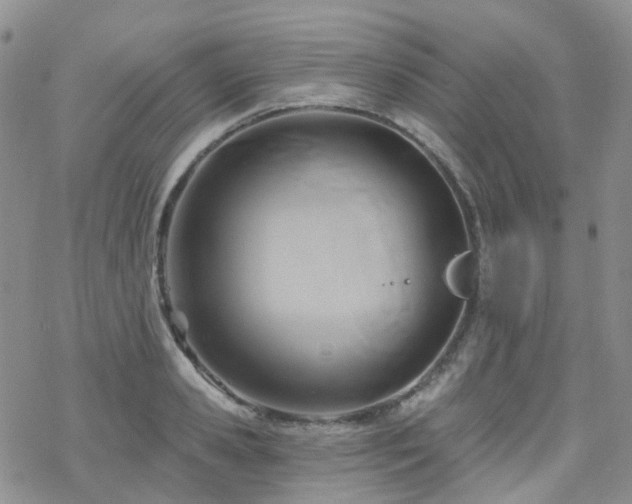 X0000070360941200606091028