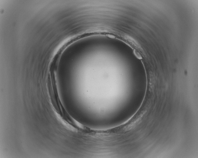 X0000070360942200606091028