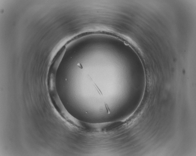 X0000070360943200606091028