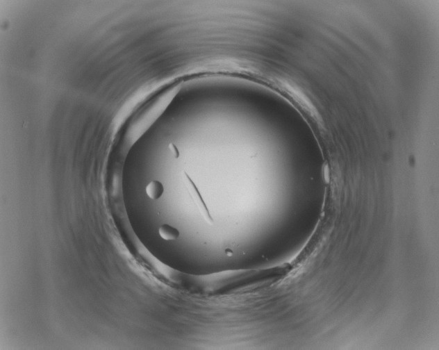 X0000070360944200606091028