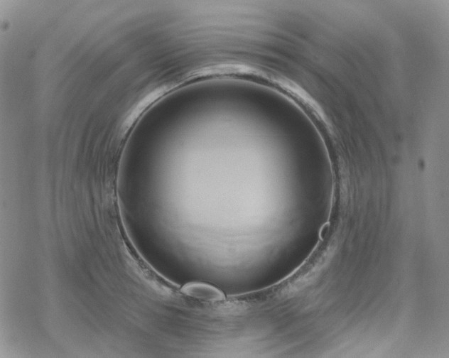 X0000070360945200606091028