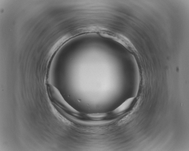 X0000070360946200606091028