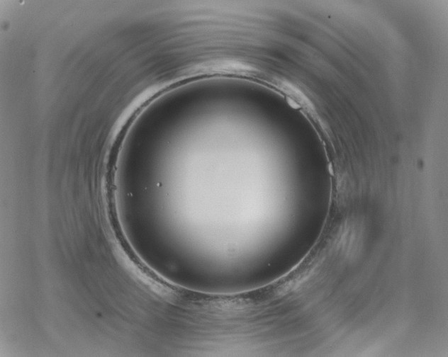 X0000070360947200606091028