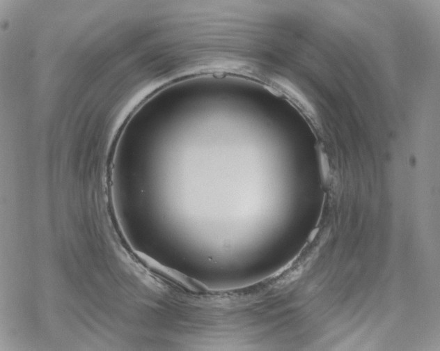 X0000070360948200606091028