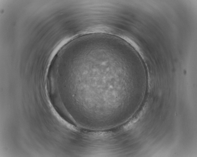 X0000070360949200606091028