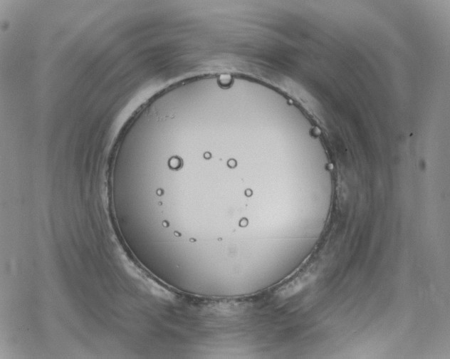 X0000070360950200606091028