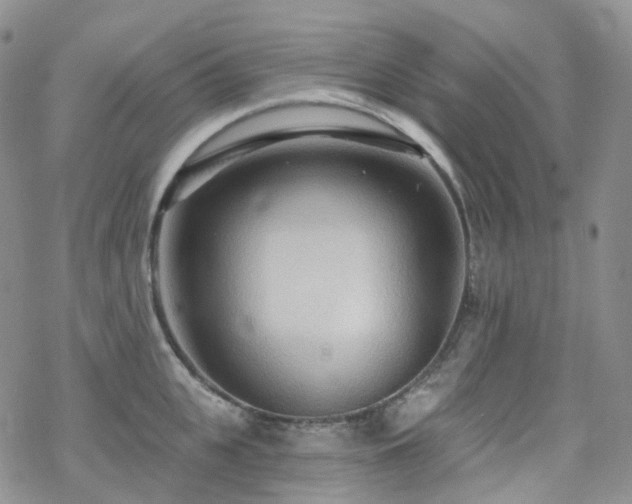 X0000070360951200606091028