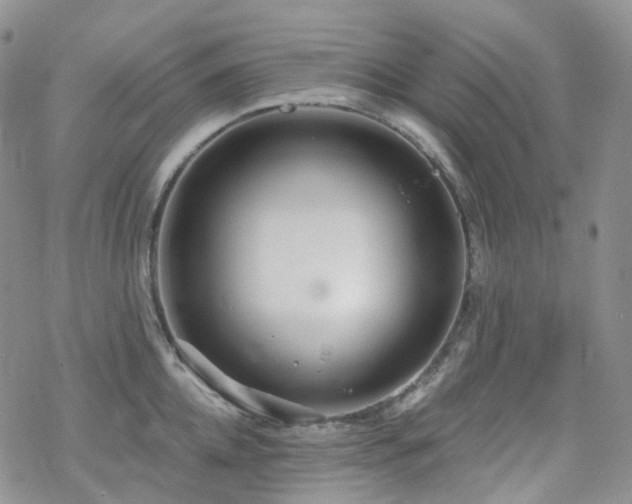 X0000070360952200606091028