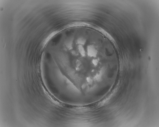 X0000070360953200606091028