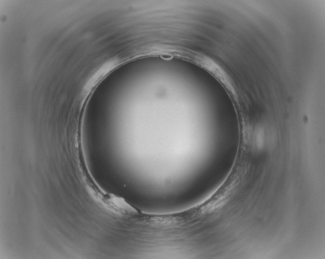 X0000070360954200606091028