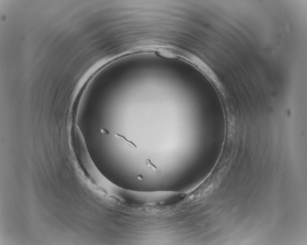 X0000070360955200606091028